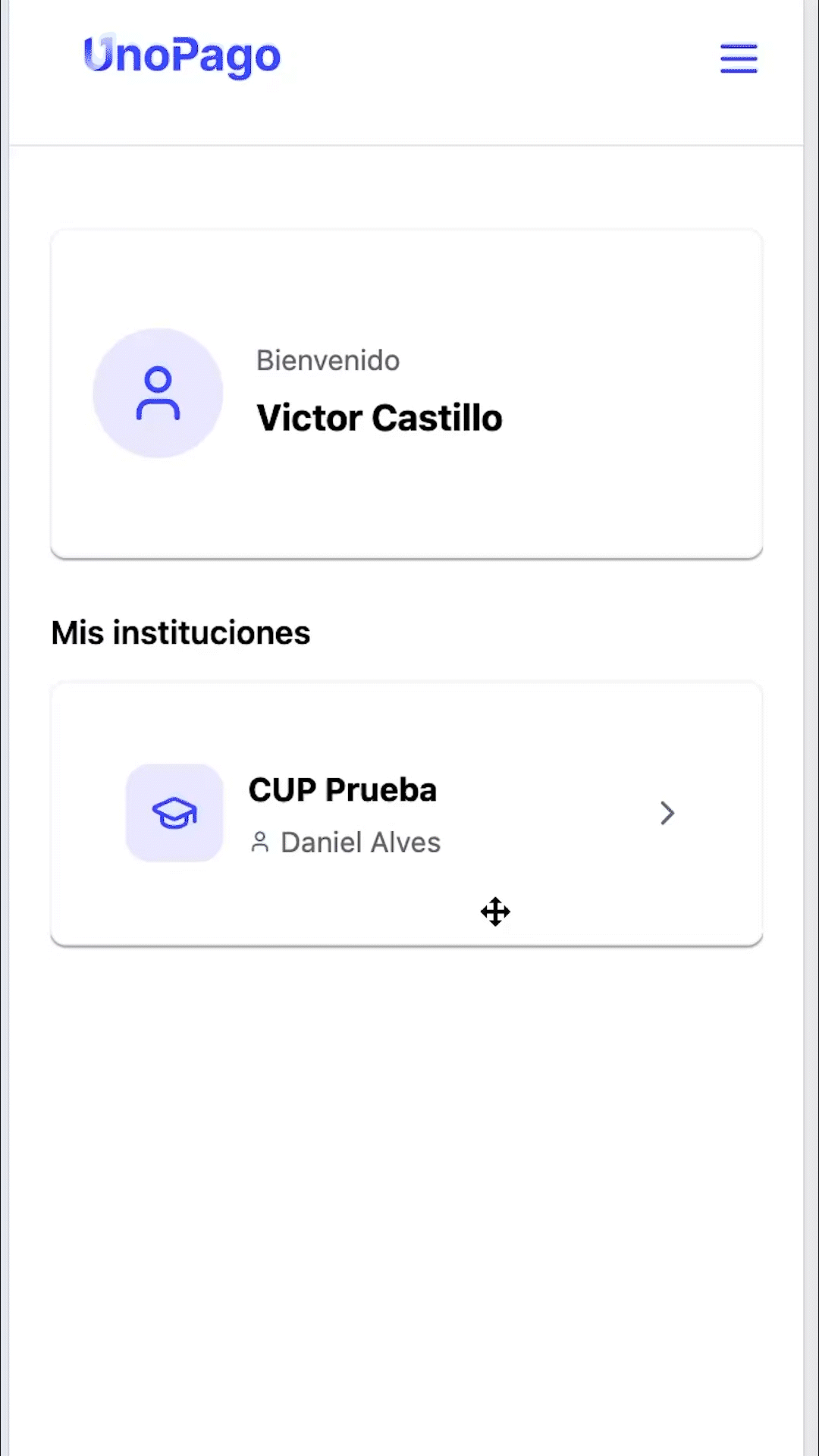 ¿Puedo ver pagos que están en proceso de verificación?
